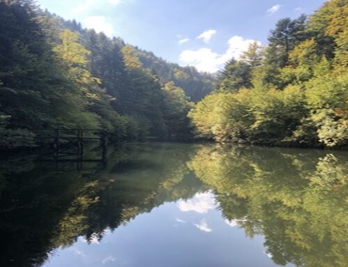 Lake Masnica in Zavidovići Nature’s Masterpiece